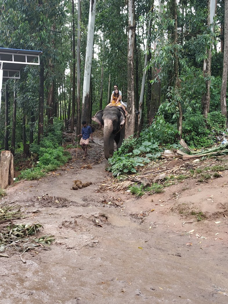 election safari park munnar